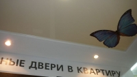 бабочка на натяжном потолке фотопечать